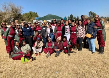 Gauteng farmers give youth a leg-up in agriculture