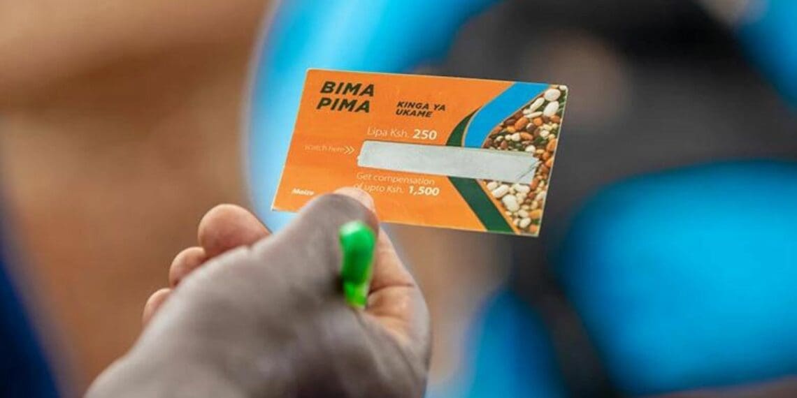 World Bank has launched an insurance for Kenyan farmers that starts coverage at KES 50 per month. Photo: Supplied/World Bank