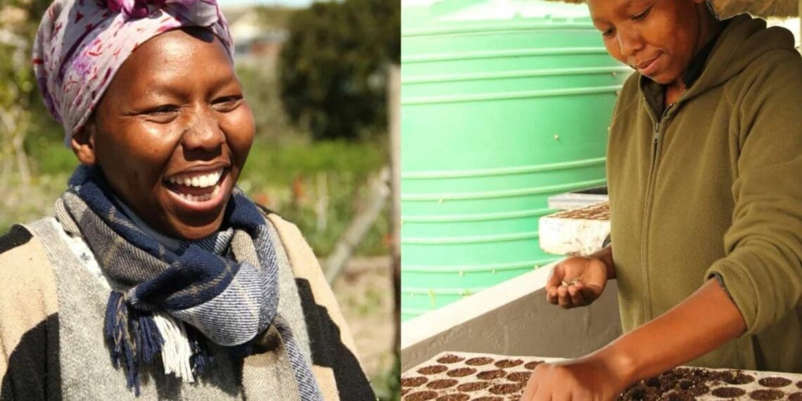 Food scraps and yard waste together currently make up more than 30% of what we throw away, and could be composted instead. Babalwa Mpayipeli uses the technique of bokashi composting. Photo: Supplird/Health For Mzansi