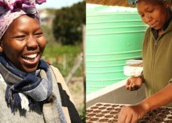 Food scraps and yard waste together currently make up more than 30% of what we throw away, and could be composted instead. Babalwa Mpayipeli uses the technique of bokashi composting. Photo: Supplird/Health For Mzansi