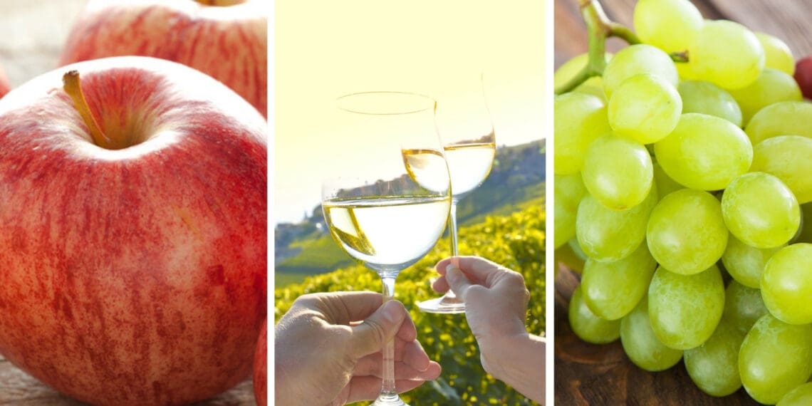 Apples and pears, wine, and grapes were among South Africa's main export commodities in the first quarter of 2022. Photos: Supplied/Food For Mzansi