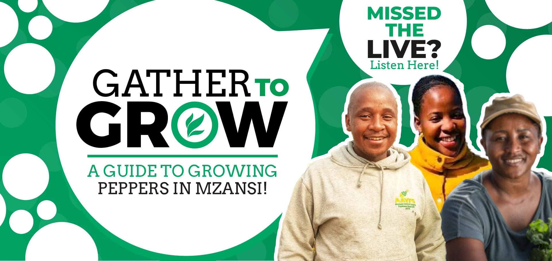 Farmer 101: A guide to growing peppers in Mzansi - Food For Mzansi