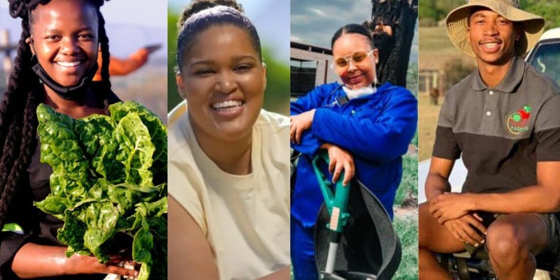 Young people are making their presence felt in Mzansi's agriculture sector. From left to right: Ncumisa Mkabile, Ruth Faro, Keneilwe Raphesu and Phikolomzi Qinisa Dlamini. Photo: Supplied/Food For Mzansi