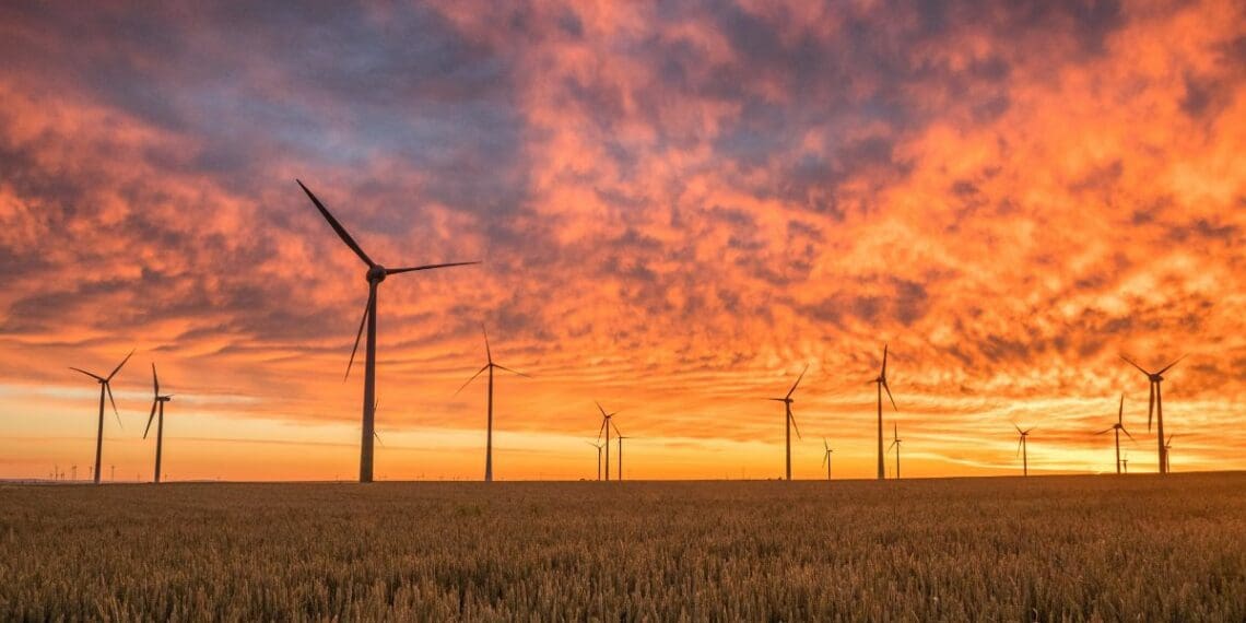 Wind turbines, farm dams, and irrigation systems all fall under the ambit of agricultural engineering. Photo: Supplied/Food For Mzansi