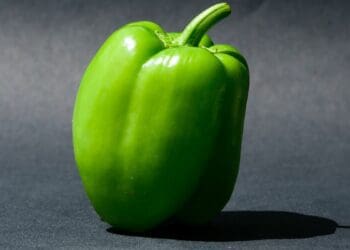 Five top tips for farming with peppers