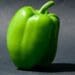 Five top tips for farming with peppers