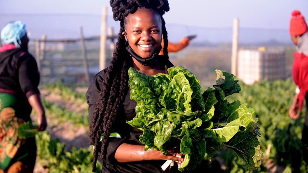 Watch out, these young farmers are on fire! - Food For Mzansi