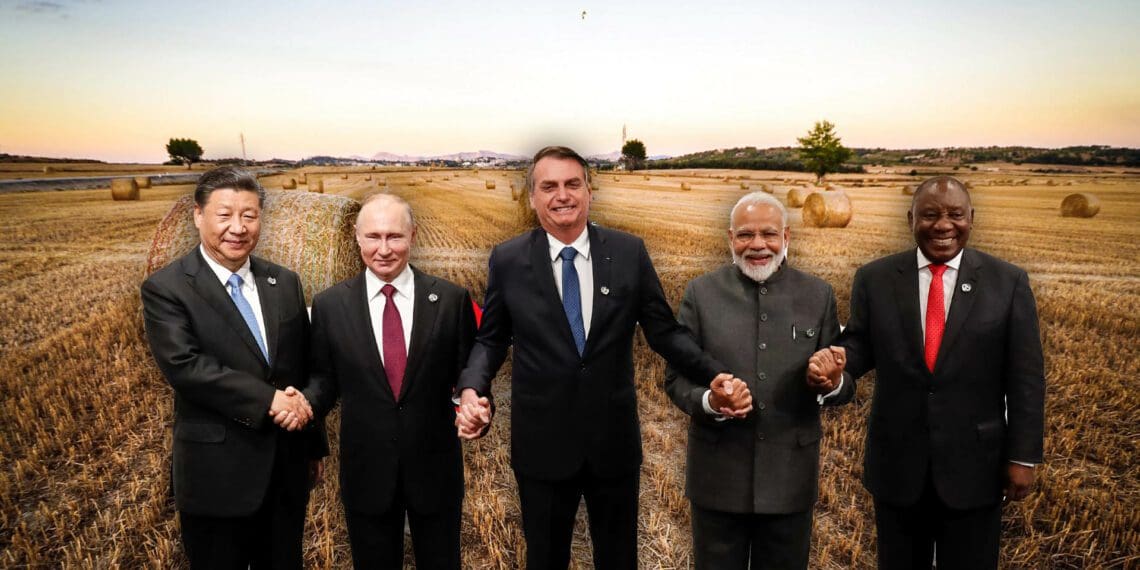 The BRICS Summit is the first of two world summits that South Africa will attend in the coming days. Image: Food For Mzansi from supplied photos