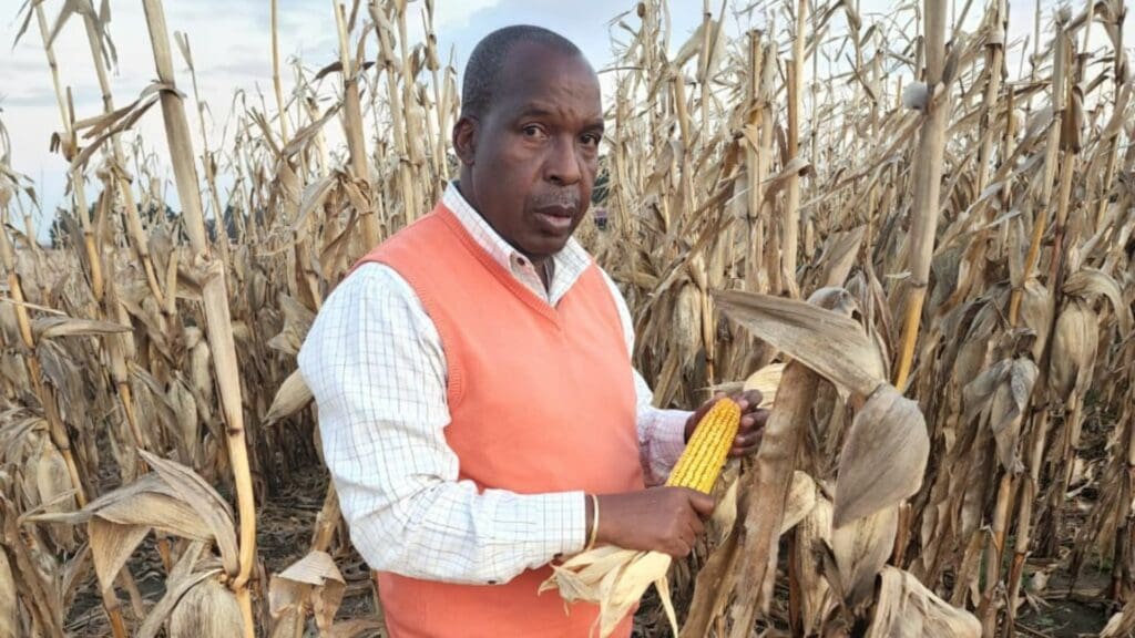David Mthombeni is building an agriculture empire for his family.Photo: Supplied/Food For Mzansi