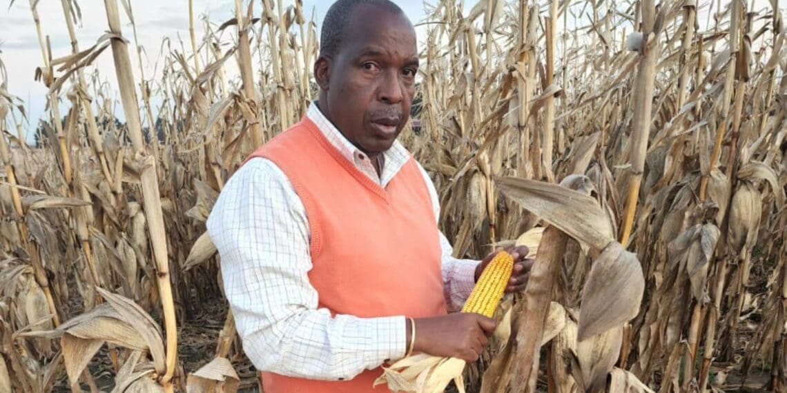 David Mthombeni is building an agriculture empire for his family.Photo: Supplied/Food For Mzansi