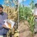 Reggie Kambule from Villiers in the Free State runs a 185 hectare farm where he breeds livestock and cultivates maize. Photo:Supplied/Food For Mzansi