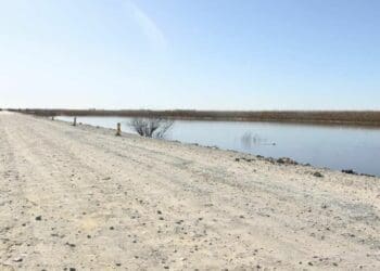 Free State Agriculture has vowed to maintain public pressure on the Premier and responsible officials to fix roads. Photo: Supplied/Food For Mzansi