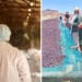 Warrenton Super Chicken and raisin farming in the Northern Cape were two of the projects MEC Mase Manopole zoomed into during her budget speech on Tuesday (21 June 2022). Photos: Supplied/Food For Mzansi