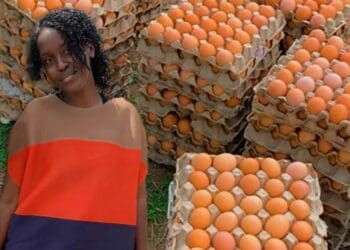 Annita Mutoni is a young poultry farmer in Rwanda, and is finding her stride within the industry. Photo: Supplied/FoodForAfrika.com