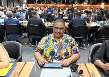Minister Thoko Didiza at the World Trade Organisation's Ministerial Conference for agricultural ministers in Geneva, Switzerland. Photo: Supplied/Food For Mzansi