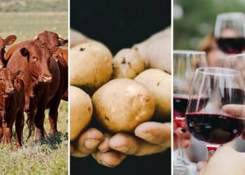 This week agriculture events include a drone pesticides conference, potato industry roundtable discussions, and the annual Agbiz congress.