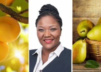 Unati Speirs has vast experience in agri-business strategy and business funding and was recently appointed as a new board director for Hortgro. Photos: Supplied/Food For Mzansi