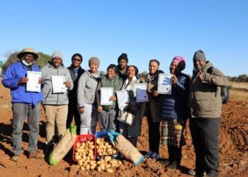 First batch of smallholder farmers who have successfully completed hands-on training on potato production with their mentor Dr Lerato Matsaunyane. Photo: Supplied/Food For Mzansi