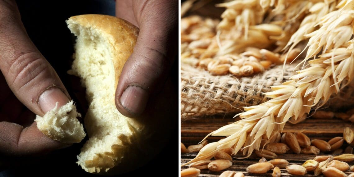 Namibia and other sub-Saharan countries are among the ones heavily reliant on wheat from Russia. Photos: Supplied/Food For Mzansi