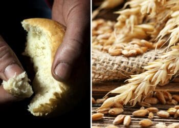 Namibia and other sub-Saharan countries are among the ones heavily reliant on wheat from Russia. Photos: Supplied/Food For Mzansi
