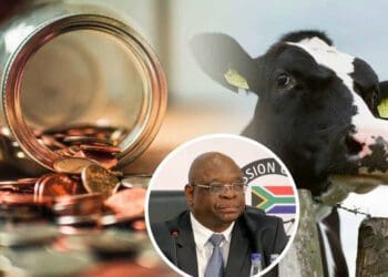 Justice Raymond Zondo released the final chapters of his report into state capture last night (Wednesday, 22 June 2022). Photo: Supplied/Food For Mzansi