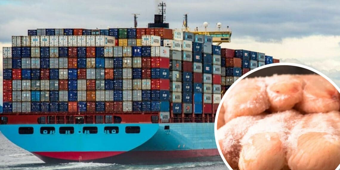 FairPlay has challenged chicken importers to reveal their “substantial” profits and to say how much they have invested in expanding their industry and creating local jobs in South Africa. Photo: Supplied/Food For Mzansi