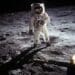 Out of this world: Moon plants rise to the occasion