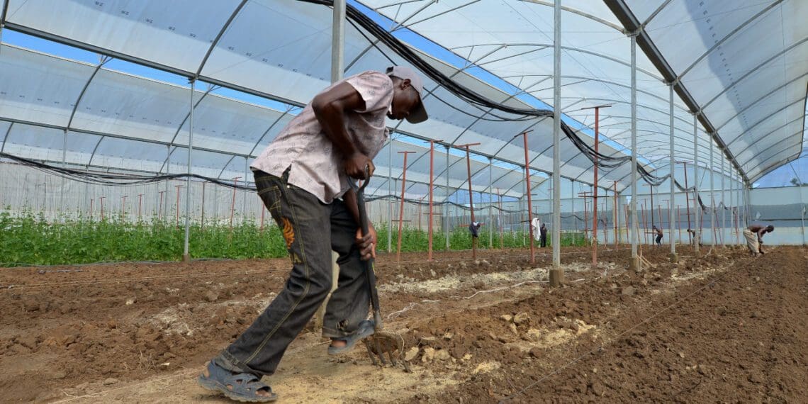 Farmworker rights came under the spotlight once again. Photo: Supplied/Food For Mzansi