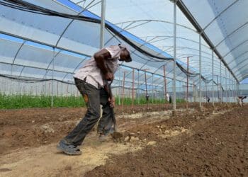 Farmworker rights came under the spotlight once again. Photo: Supplied/Food For Mzansi