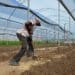 Farmworker rights came under the spotlight once again. Photo: Supplied/Food For Mzansi