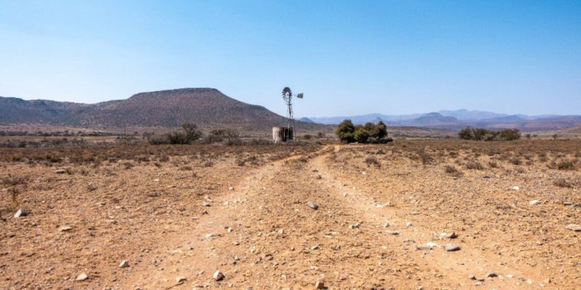 Parts of the Western Cape, such as the Central Karoo, are still experiencing drought. Photo: Supplied/Food For Mzansi