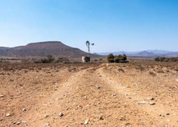 Parts of the Western Cape, such as the Central Karoo, are still experiencing drought. Photo: Supplied/Food For Mzansi