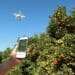 This drone is collecting data which farmers can then access on the yield management platform. Photo: Supplied/Aerobotics