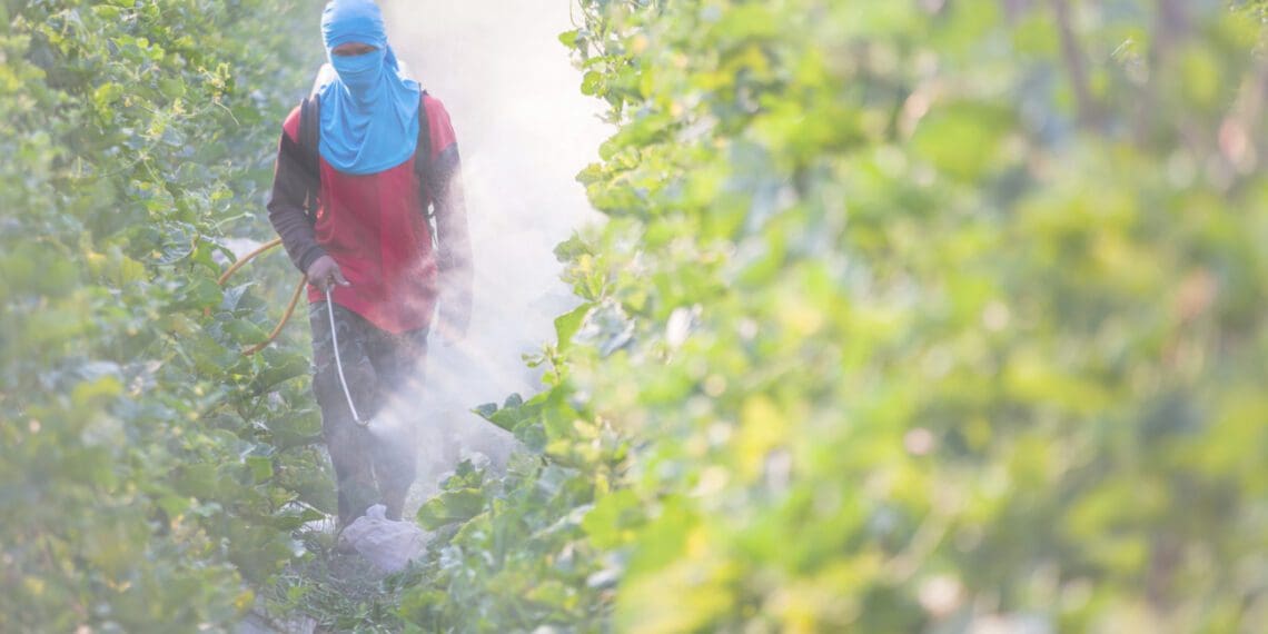 Water pollution: Contamination taking its toll