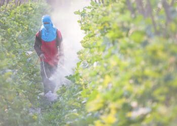 Water pollution: Contamination taking its toll
