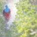 Water pollution: Contamination taking its toll