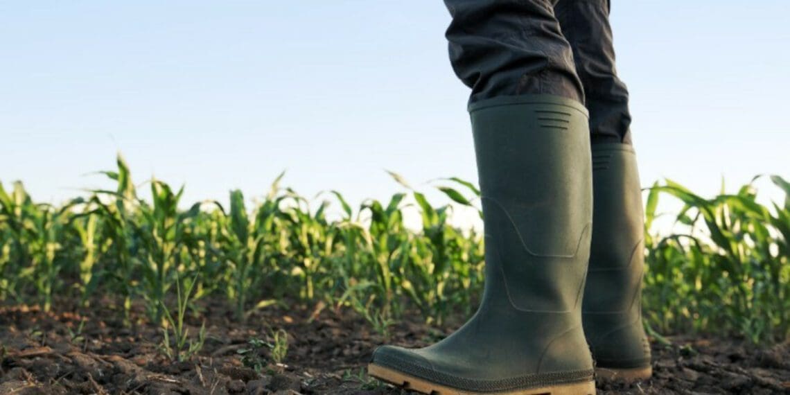 KwaZulu-Natal’s hardworking young farmers are asked to showcase the best of the province’s farming sector. Photo: Supplied/Food For Mzansi