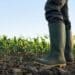 KwaZulu-Natal’s hardworking young farmers are asked to showcase the best of the province’s farming sector. Photo: Supplied/Food For Mzansi