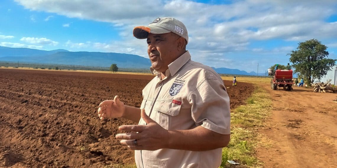 Aldrin Lawrence is a patient commercial potato farmer based in Limpopo. It took him an insurmountable 15 years of patience to finally clear and prepare 7.2 hectares to plant potatoes. Photo: Magnificent Mndebele