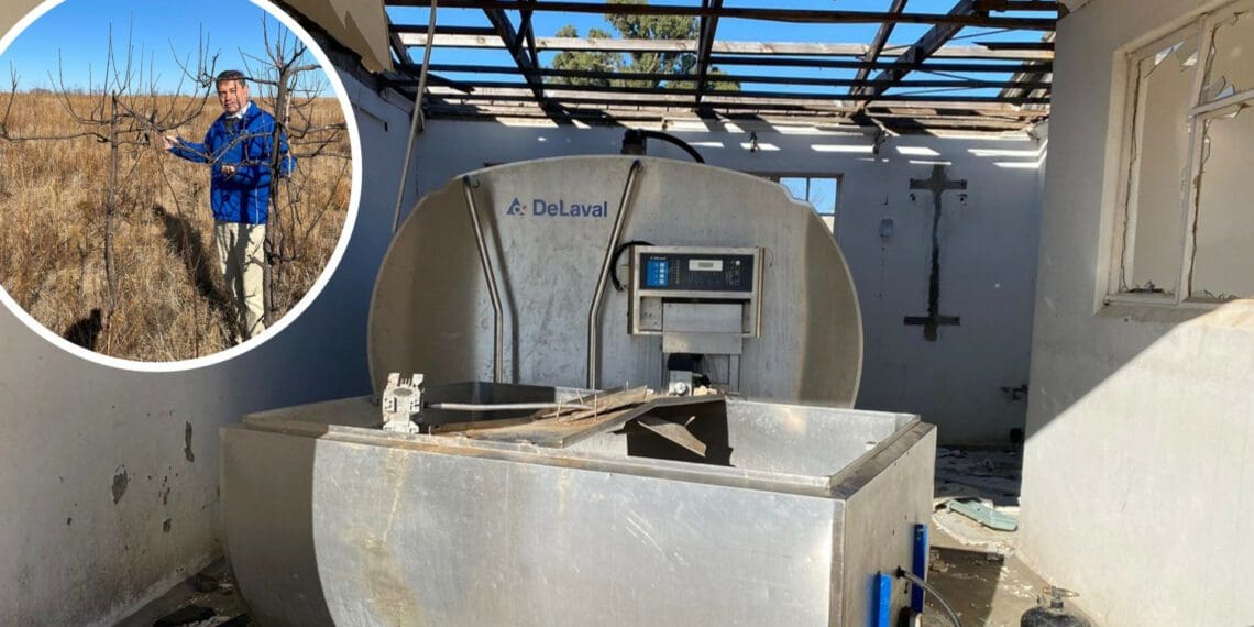 Pictures of the dilapidated Diyatalawa Agri-Village were released this week by Dr Roy Jankielsohn, DA leader in the Free State. Photos: Supplied