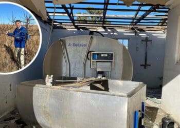 Pictures of the dilapidated Diyatalawa Agri-Village were released this week by Dr Roy Jankielsohn, DA leader in the Free State. Photos: Supplied
