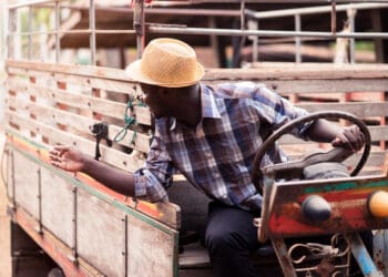 During a recent Gathe to Grow session hosted by Food For Mzansi, farmers were encouraged to look closer to home for answers to their loadshedding woes. Photo: Supplied/AdobeStock