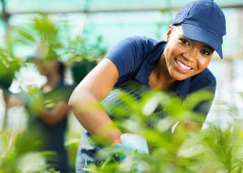 The department of agriculture, land reform and rural development has opened up bursary applications in different fields of study for the 2023 academic year. Photo: Supplied/Food For Mzansi