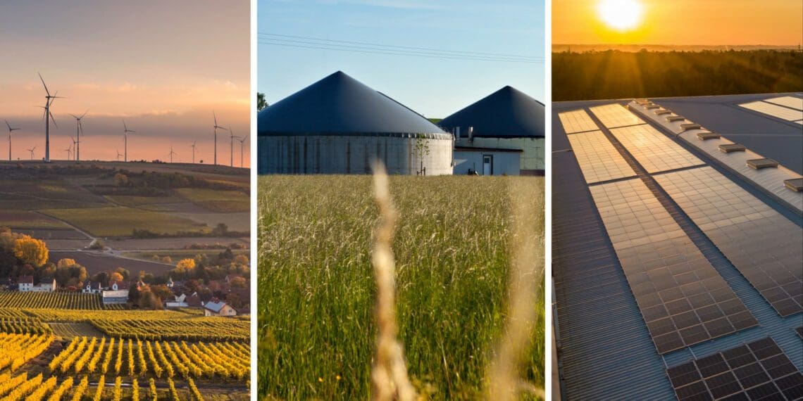 South Africa is set to rapidly increase its reliance on alternative energy sources such as wind power, biogas and solar power. Photos: Supplied/Food For Mzansi