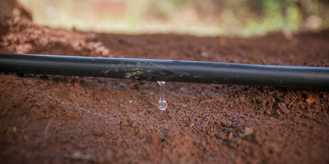 As competition for water is set to increase in future, so is the pressure on farmers to use what they can get, more efficiently. Photo: Supplied