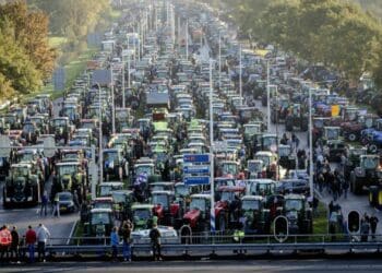 Thousands of Dutch farmers have blocked highways and food distribution centres to protest plans to reduce livestock numbers by a third. Photo: Twitter
