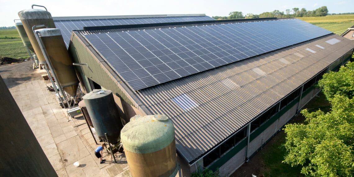 Agri SA says unnecessary caps on the agricultural sector have made it uneconomical to date to invest in energy generation. Photo: Supplied/Food For Mzansi