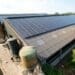 Agri SA says unnecessary caps on the agricultural sector have made it uneconomical to date to invest in energy generation. Photo: Supplied/Food For Mzansi