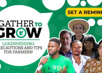Don't miss out! This week's agriculture events include a young farmer competition, industry stakeholder engagement, livestock auction and information session on loadshedding with tips and precautions for farmers. There is also a virtual event on family farming and a wine festival. Photo: Supplied/Food For Mzansi