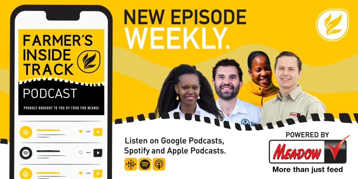 This week's Farmers Inside Track podcast episode features Chikondi Gurira, SAIAE’s Business Manager, and Jan-Paul Smit, SAIAE’s Limpopo Branch Chair, Phakade Khanyile, Mpumalanga, cattle breeder, Thandeka Masego, founder of Blooming Fresh Produce, and Stephan Gericke, ruminant technical advisor at Meadow Feeds. Photo: Supplied/Food For Mzansi
